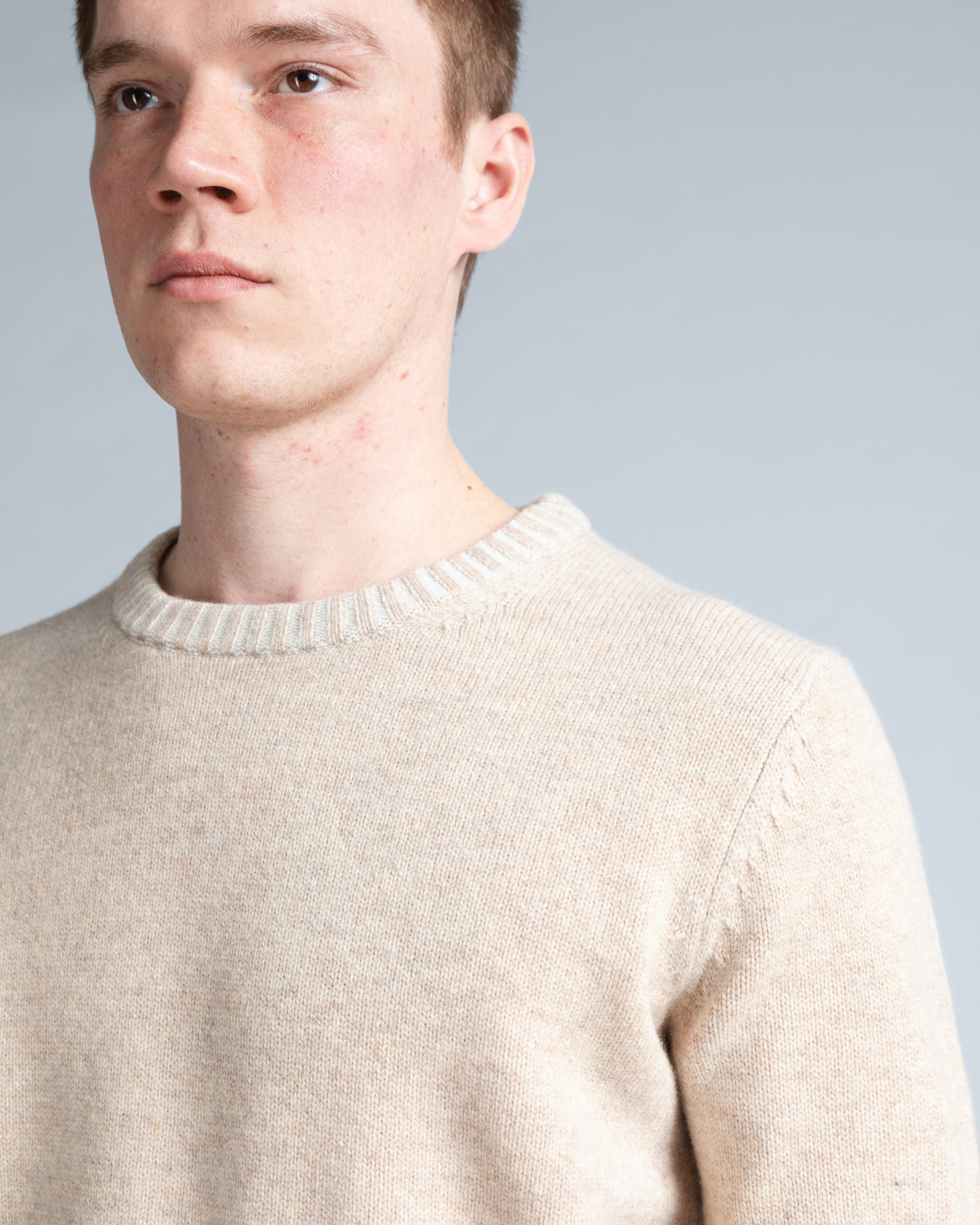 Crew Neck Jumper in Light Beige (10282025812298)